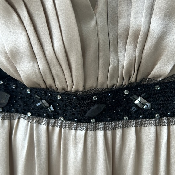 SOLD - BCBG MaxAzria Beige Silk Beaded Evening Gown EUC - Picture 8 of 11